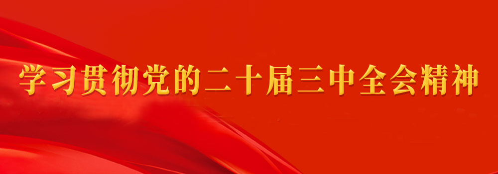 学习贯彻党的二十届三中全会精神
